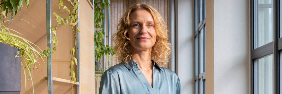 Headerbild der Anzeige